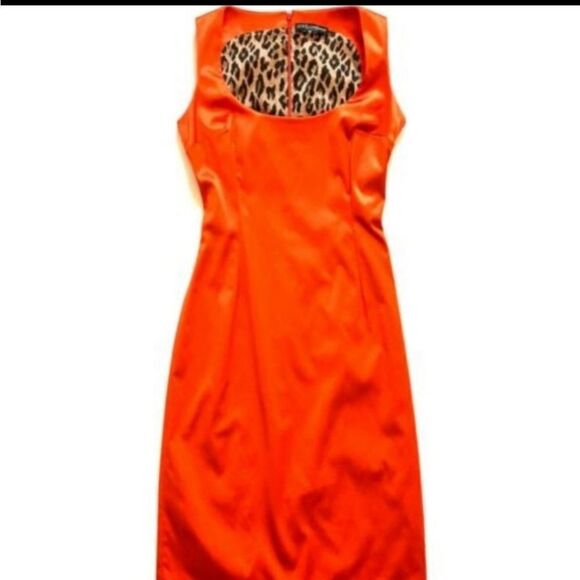 Dolce and Gabbana - Picture 16 of 16